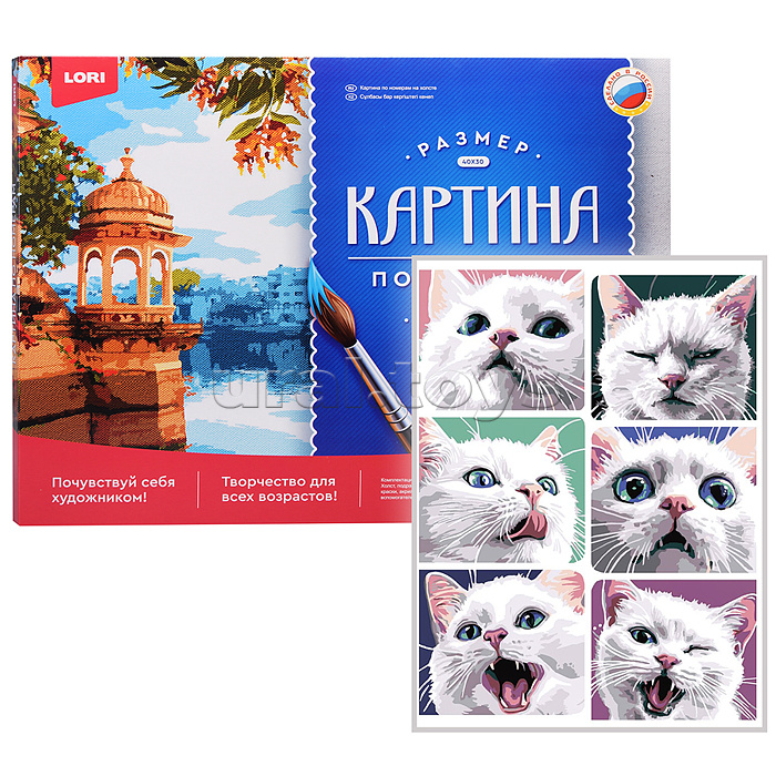 Картина по номерам холст на подрамнике 30*40 см "Эмоции котика" Картина по номерам холст на подрамнике 30*40 см "Эмоции котика"