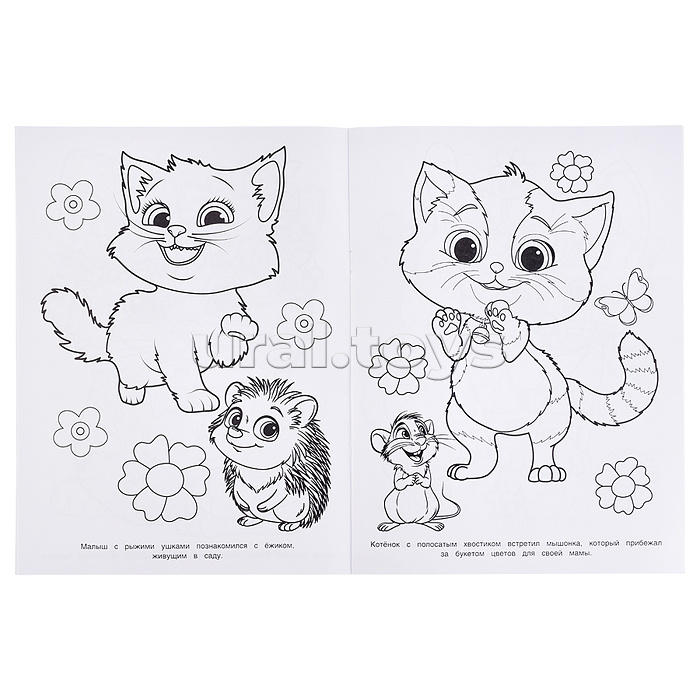 Котята в волшебном саду. Раскраска