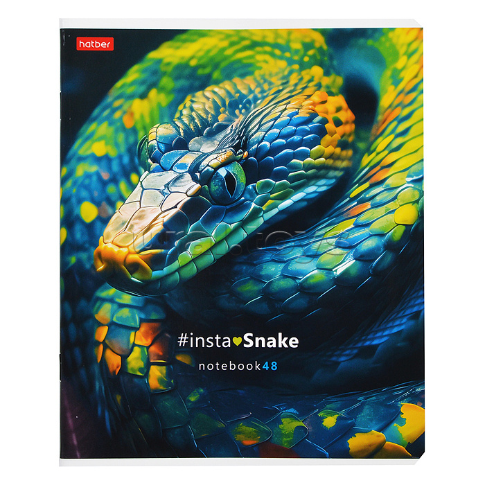 Тетрадь 48л клетка "InstaSnake"