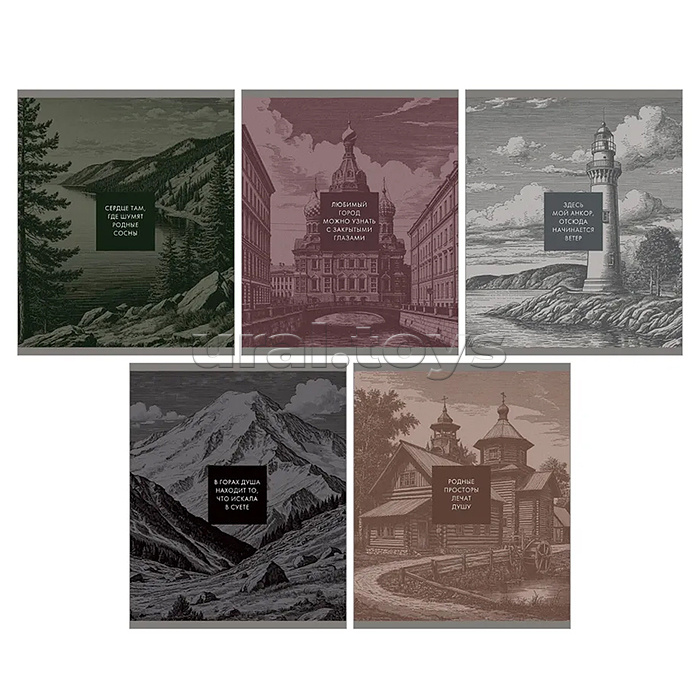 Тетрадь 48л. клетка "This is Russia" А5 скрепка