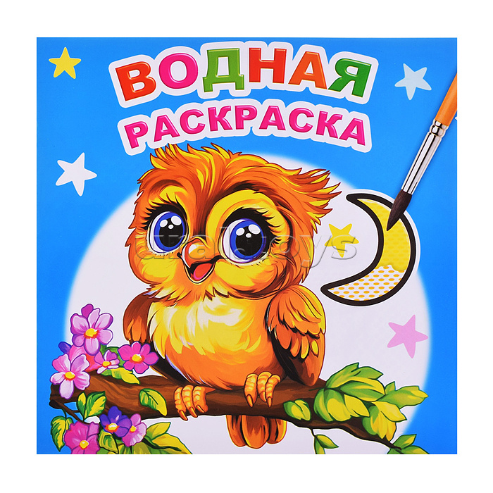 Водная раскраска. Совенок