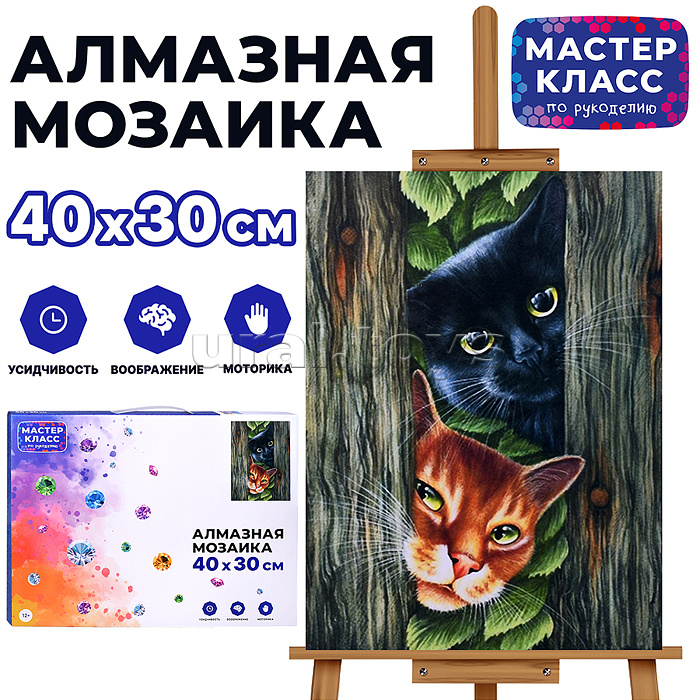 Мозаика алмазная "Любопытные коты" 30*40см.