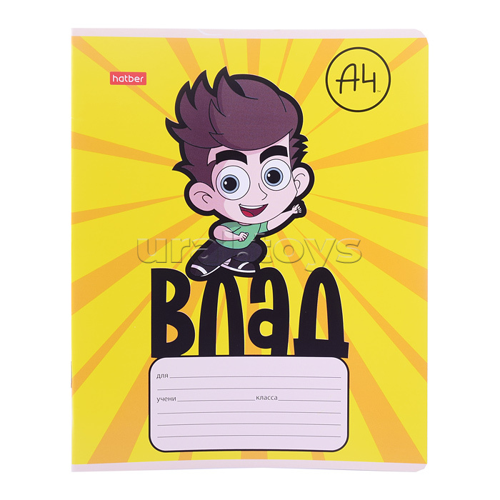 Тетрадь 12л. косая линия "Влад А4" А5 на скобе