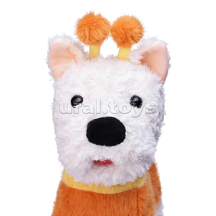 Собака "Рэй" (поет, ходит, повторяет) в пакете