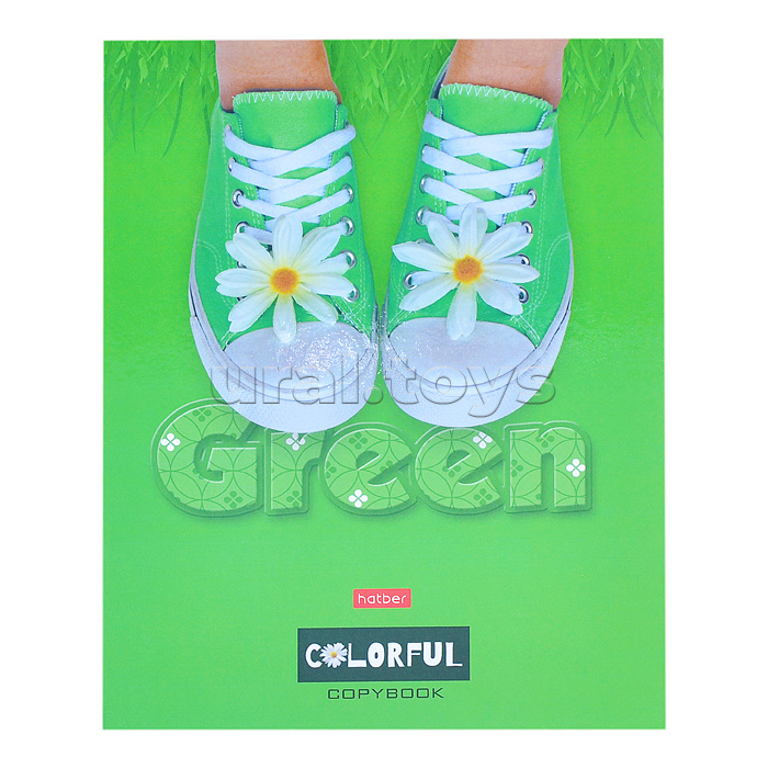 Тетрадь 120л А5ф на 4-х кольцах "Green"