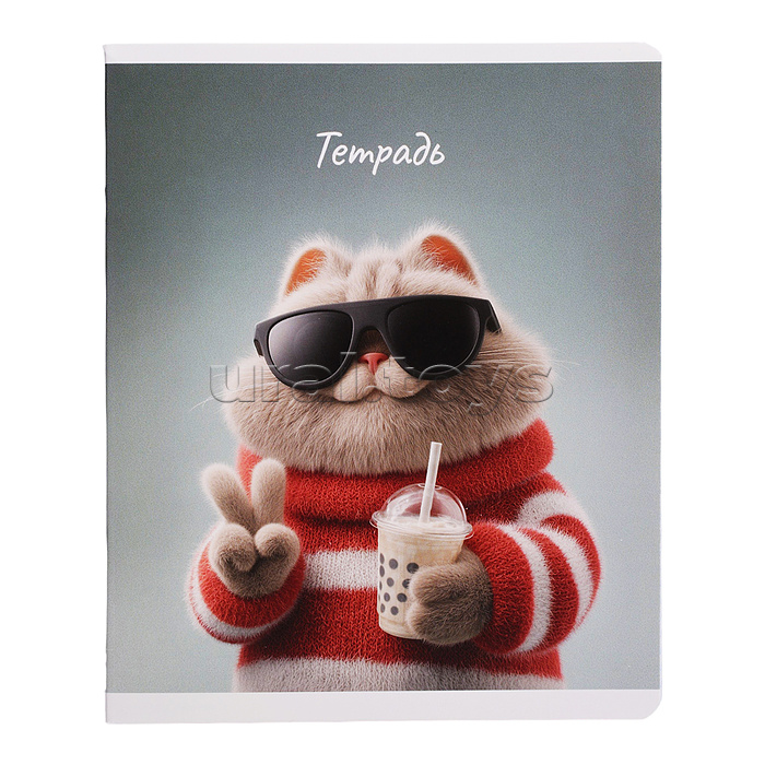 Тетрадь 48 л, клетка "Современные коты" А5+, мягкий переплёт (2 скобы)