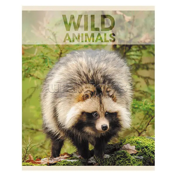 Тетрадь 96л. А5, клетка "Wild animals" скрепка Тетрадь 96л. А5, клетка "Wild animals" скрепка
