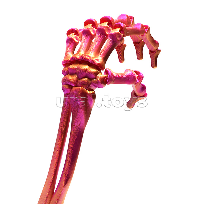 Игрушка-антистресс "Скелет руки"
