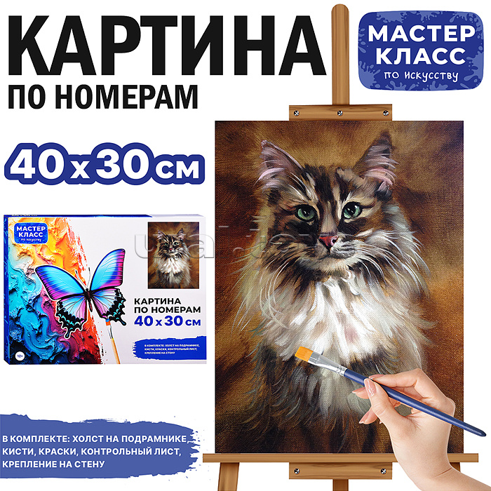 Набор для рисования "Картина по номерам 30х40см. Кошка"