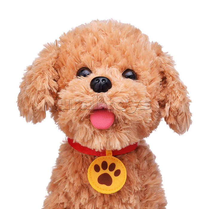 Собака "Бим" (поет, ходит, повторяет) в пакете