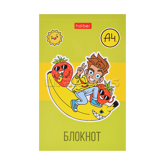 Блокнот А7 48л клетка "Влад А4" в Дисплее  52 шт