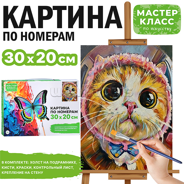 Картина по номерам "Большие глаза" 30х20 см.