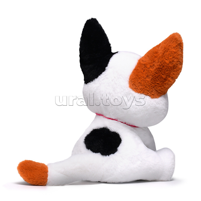 Кошка "Сима" (поёт, записывает, светится) в коробке