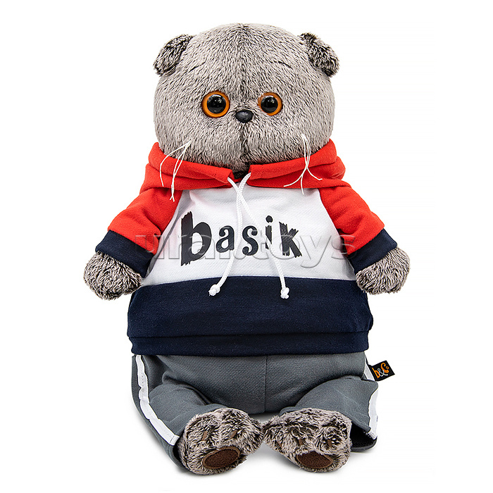 Кот Басик в костюме в стиле спорт-шик