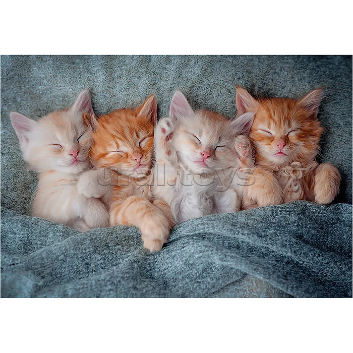 Пазлы 1000 "Милые котята"