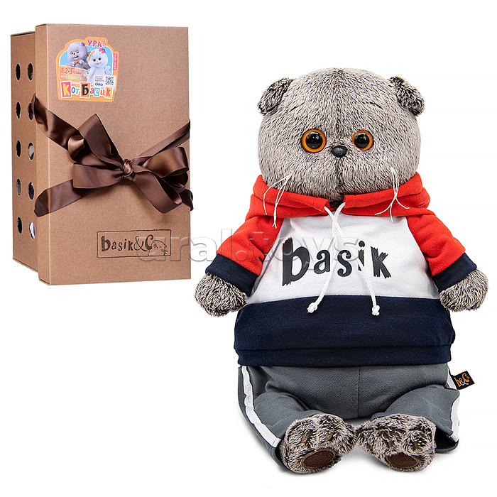 Кот Басик в костюме в стиле спорт-шик