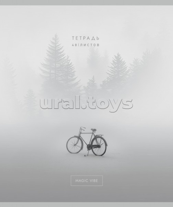 Тетрадь 48л. клетка А5 скрепка S "Хэйз" Премиум 4+4+Ламинация СофтТач