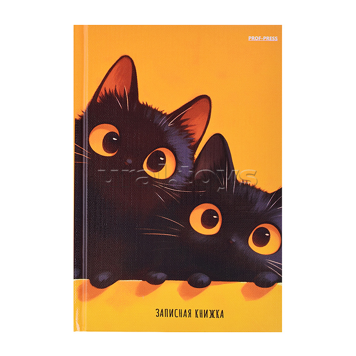 Записная книжка А6 48л. "Два черных котика" 7БЦ, глянц.ламинир., лен