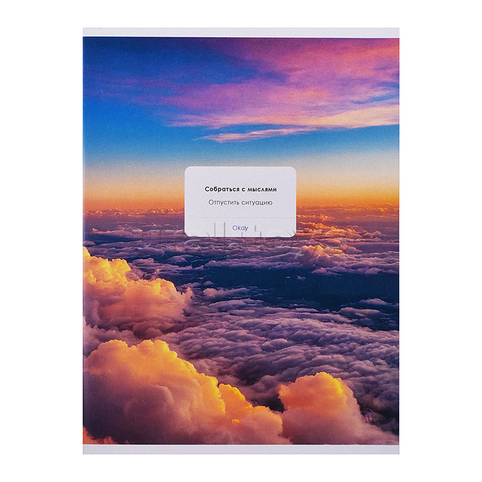 Тетрадь 48л. "Собраться с мыслями" А4 обложка хромэрзац. скрепка