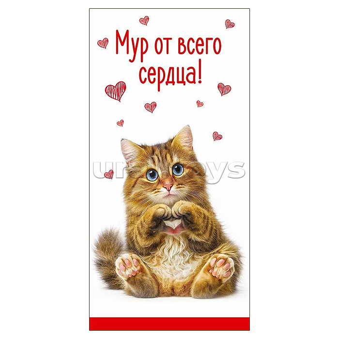 Конверт для денег "Мур от всего сердца!"