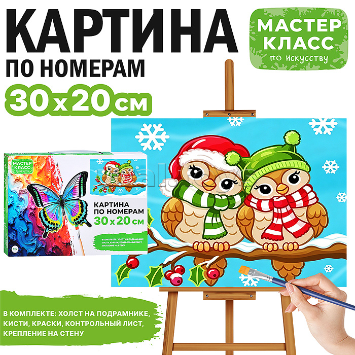 Картина по номерам "Совушки зимой" 30*20 см.