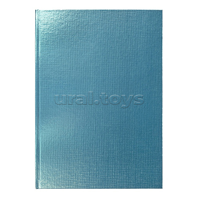 Бизнес-блокнот 80л. клетка, Metallic Мята, А4ф Бизнес-блокнот 80л. клетка, Metallic Мята, А4ф