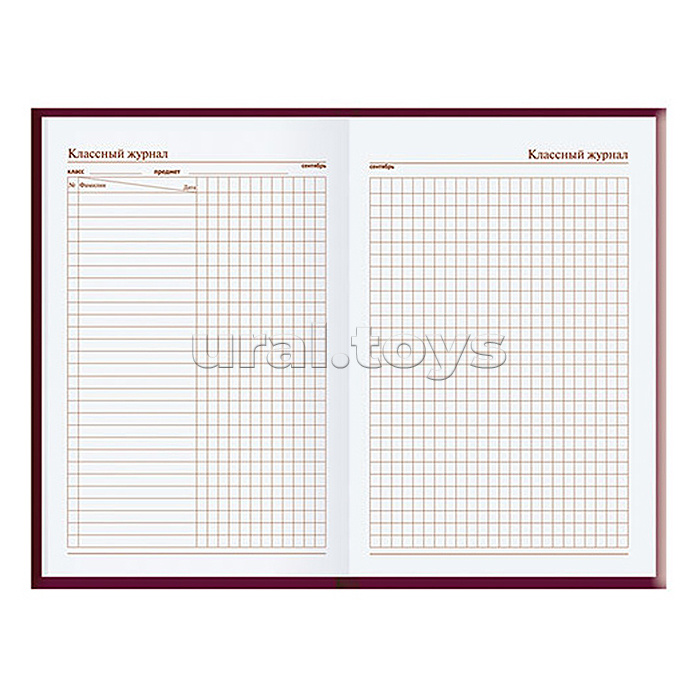 Ежедневник учителя А5 288стр.,7Бц, Уф-лак "Малинка"