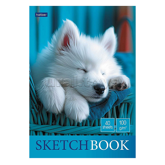 Блокнот SketchBook 40л А5ф "Носики и ушки" без линовки 100г/кв.м отрывная склейка