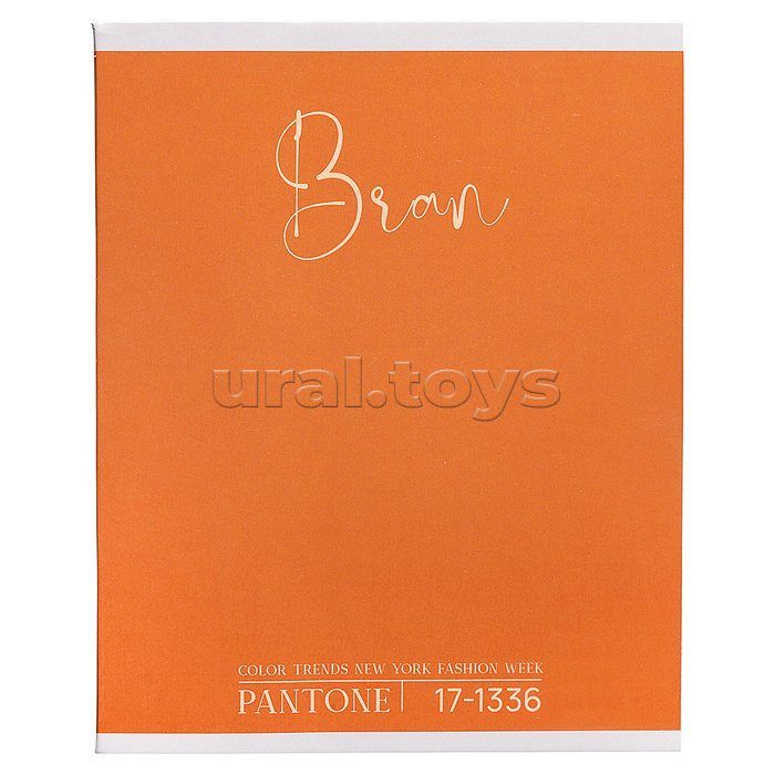 Тетрадь 48л. клетка "Color Trend" А5 скрепка