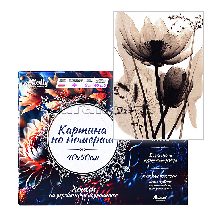 Картина по номерам 40х50 "Монохромные цветы" (11 цветов)