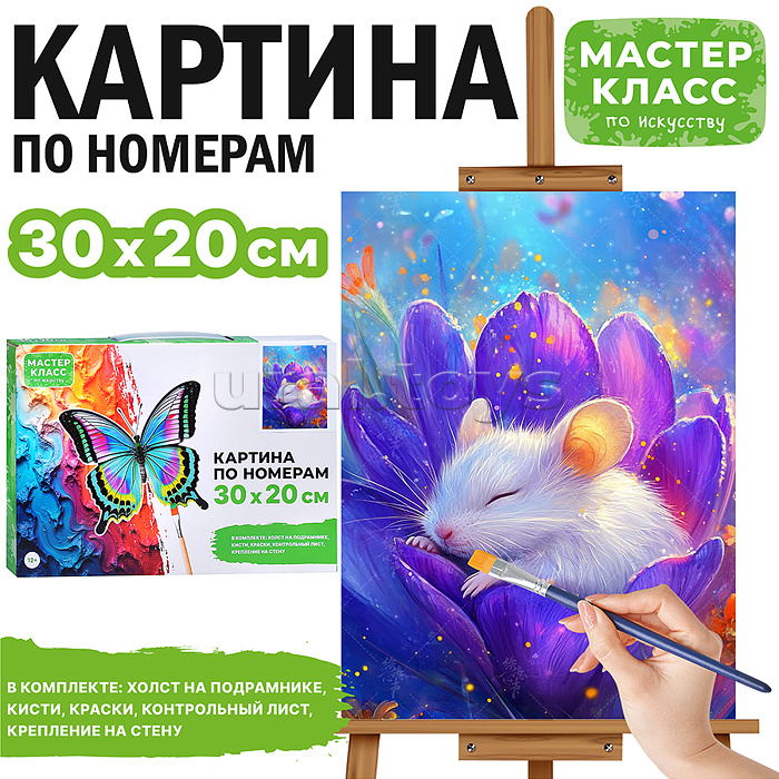 Набор для рисования "Картина по номерам 30х20 см. Приятные сны"