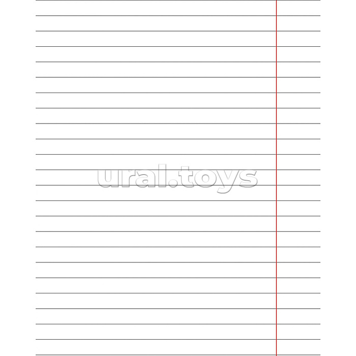 Тетрадь 24л. линия, Стандарт