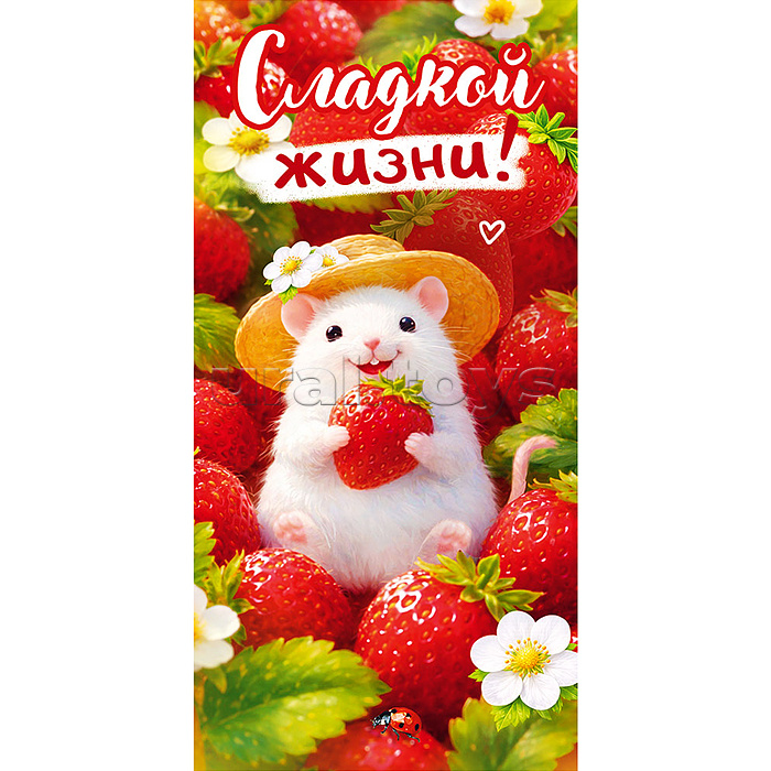 Конверт для денег "Сладкой жизни" (мышонок в шляпе, ягоды и цветы клубники)