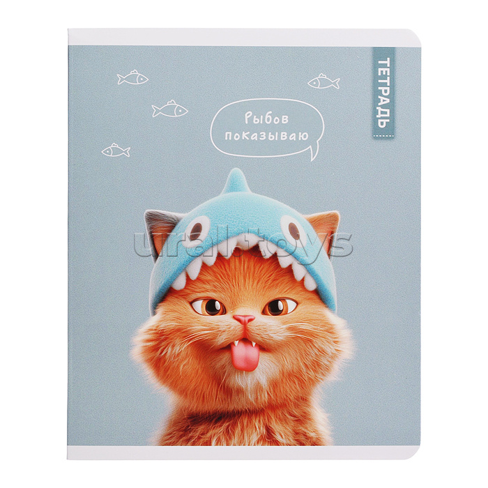 Тетрадь 48 л, клетка "Коты в школе" А5+, мягкий переплёт (2 скобы)