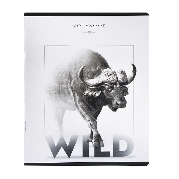 Тетрадь 48л. клетка А5 "Дикий зверь" скрепка