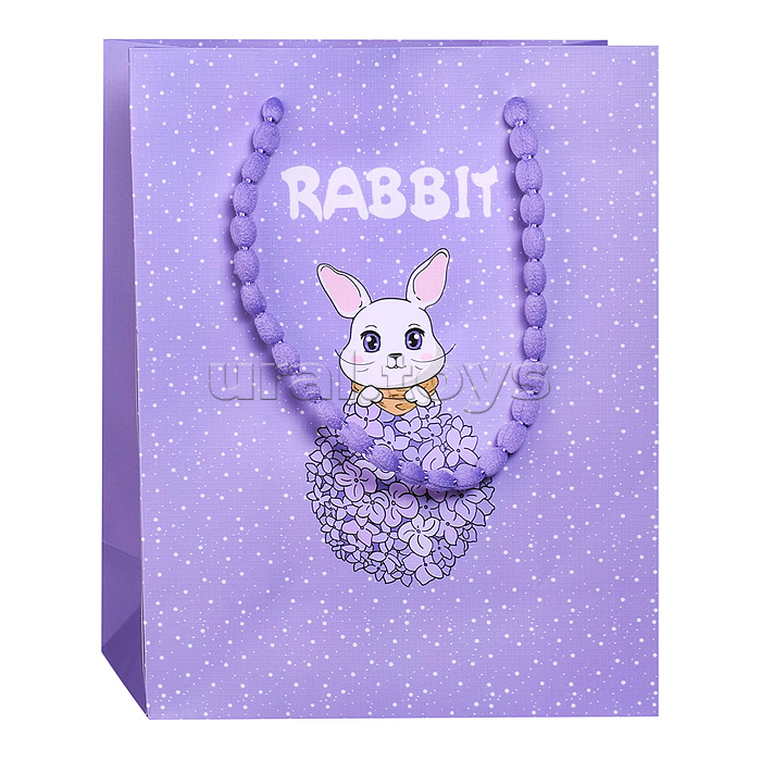 Пакет подарочный "Искренний подарок" 24,5*19,5*10см.