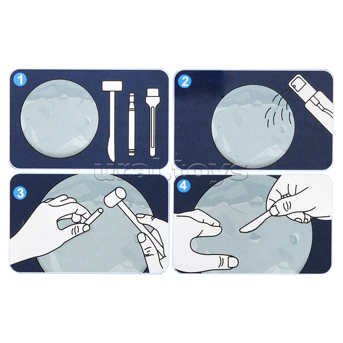 Раскопки "Нептун" в коробке