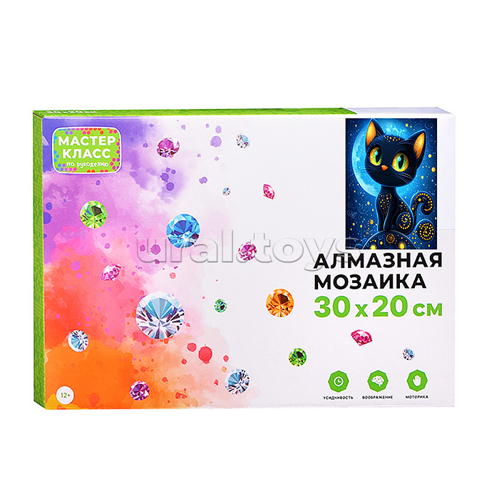Мозаика алмазная "Черный кот" 20*30см.