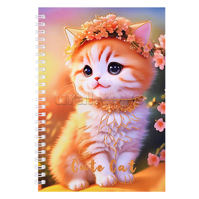 Блокнот на евроспирали "Котята" 14.5x21 см, 60 л., внутренний блок в клетку, плотность бумаги 70г/м2, 4 дизайна в ассортименте, ОПП-упаковка