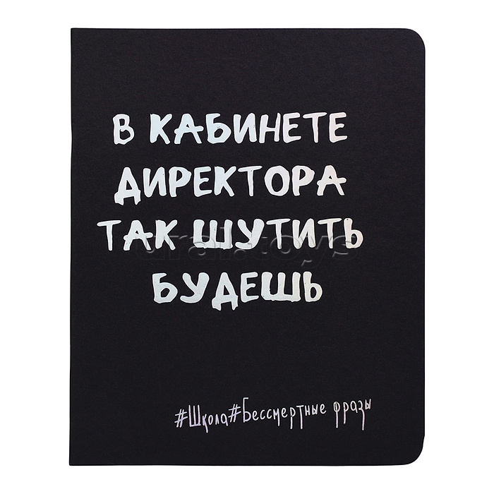 Тетрадь 48л. клетка "Школьные Фразы" А5 скрепка