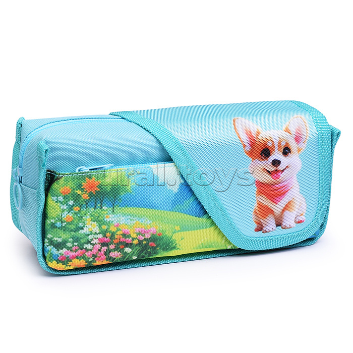 Пенал "My Little Corgi" 21x9x5,5 см, износостойкий полиэстер с водоотталкивающей пропиткой, отделение на молнии, прямоугольный для 45 предметов, наружный карман на молнии, ассиметричная створка на липучке, полноцветная печать