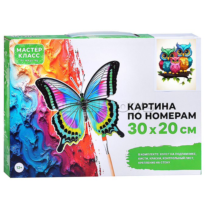 Картина по номерам "Семья сов" 30*20 см.