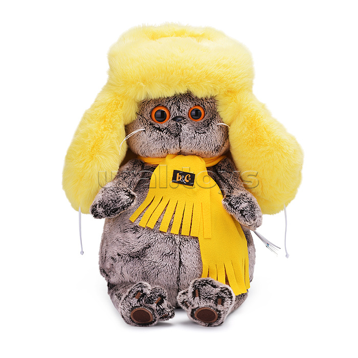 Кот Басик в желтой меховой шапке