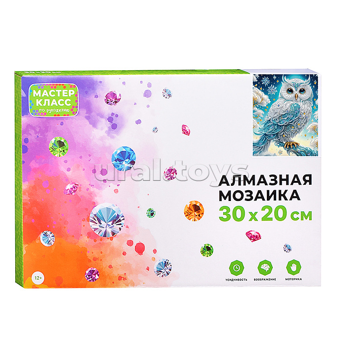 Мозаика алмазная "Красивая сова" 20*30см.