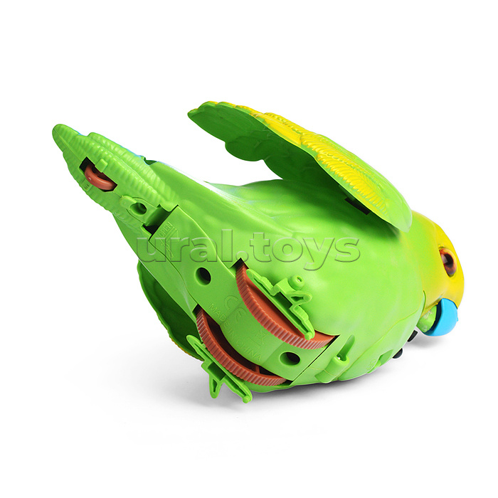 Птичка "Попугай Кеша" в коробке