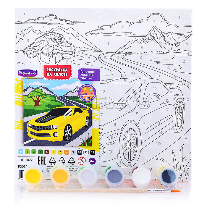 Раскраска по номерам на холсте "Гоночная машина" 20х20