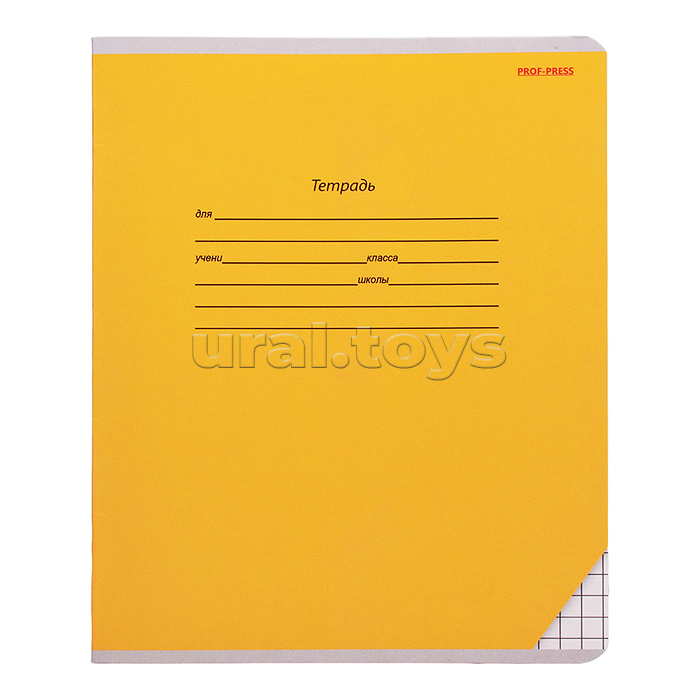 Тетрадь 12л. крупная клетка "Классика" цвет. мелов. обл.