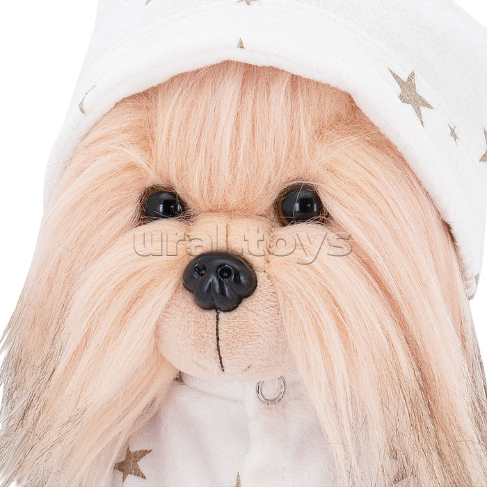 Lucky Yoyo: Сладкие сны