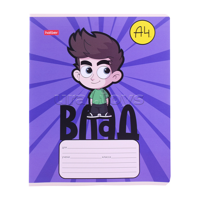 Тетрадь 12л. косая линия "Влад А4" А5 на скобе