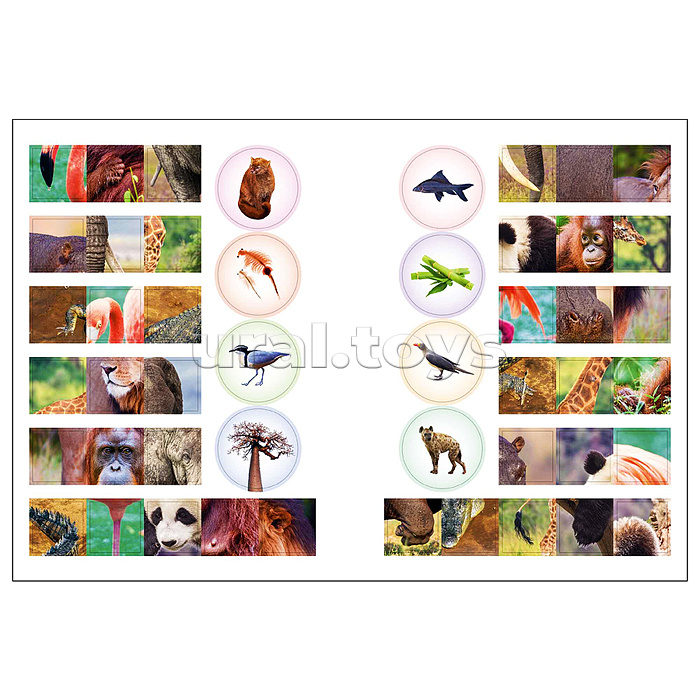 Мир животных с наклейками. Кто живёт в зоопарке?